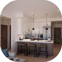 Premium kitchens with modern cabinetry